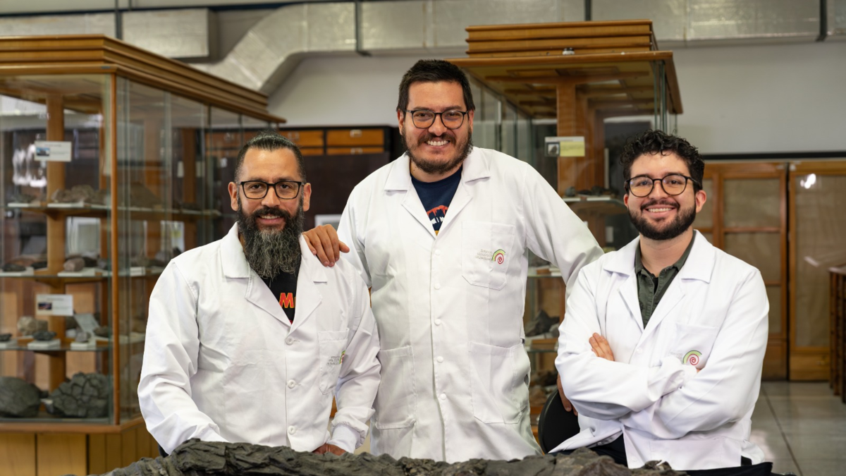 Fósiles descubiertos en Boyacá, Santander y Cundinamarca revelan nuevas especies y consolidan a Colombia como referente paleontológico Fósiles descubiertos en Boyacá, Santander y Cundinamarca revelan nuevas especies y consolidan a Colombia como referente paleontológico