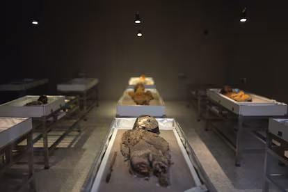 Un estudio científico redefine a las Momias Chinchorro como obras de arte funerario Un estudio científico redefine a las Momias Chinchorro como obras de arte funerario