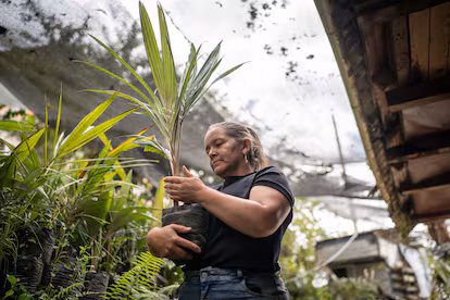 Las víctimas de los 12 Apóstoles: “Ya no tengo miedo a decir que Santiago Uribe mató a mis hermanos” Las víctimas de los 12 Apóstoles: “Ya no tengo miedo a decir que Santiago Uribe mató a mis hermanos”