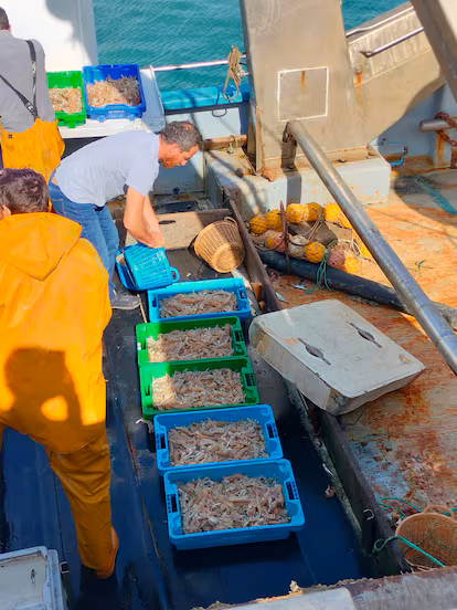 La didáctica lonja de Punta Umbría que divulga sobre las artes de pesca y enseña cómo es una subasta La didáctica lonja de Punta Umbría que divulga sobre las artes de pesca y enseña cómo es una subasta