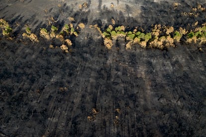 El año 2025, en imágenes El año 2025, en imágenes