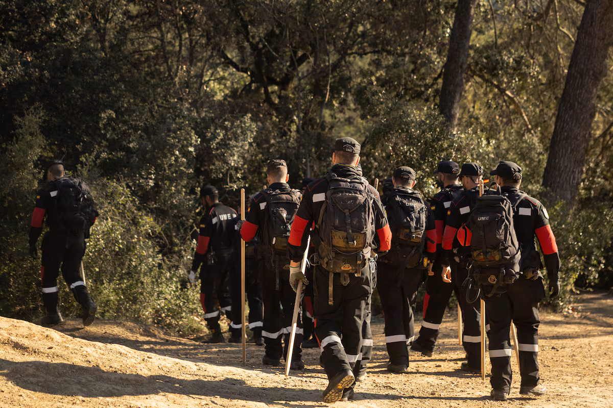 La Generalitat acuerda con los ganaderos el sacrificio de 30.000 cerdos sanos en el foco de infección de peste porcina EL PAÍS