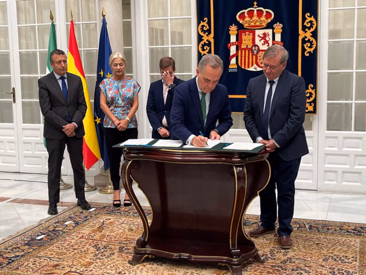 La inacción del Ayuntamiento de Sevilla paraliza la exhumación de la mayor fosa de la Guerra Civil de la ciudad EL PAÍS