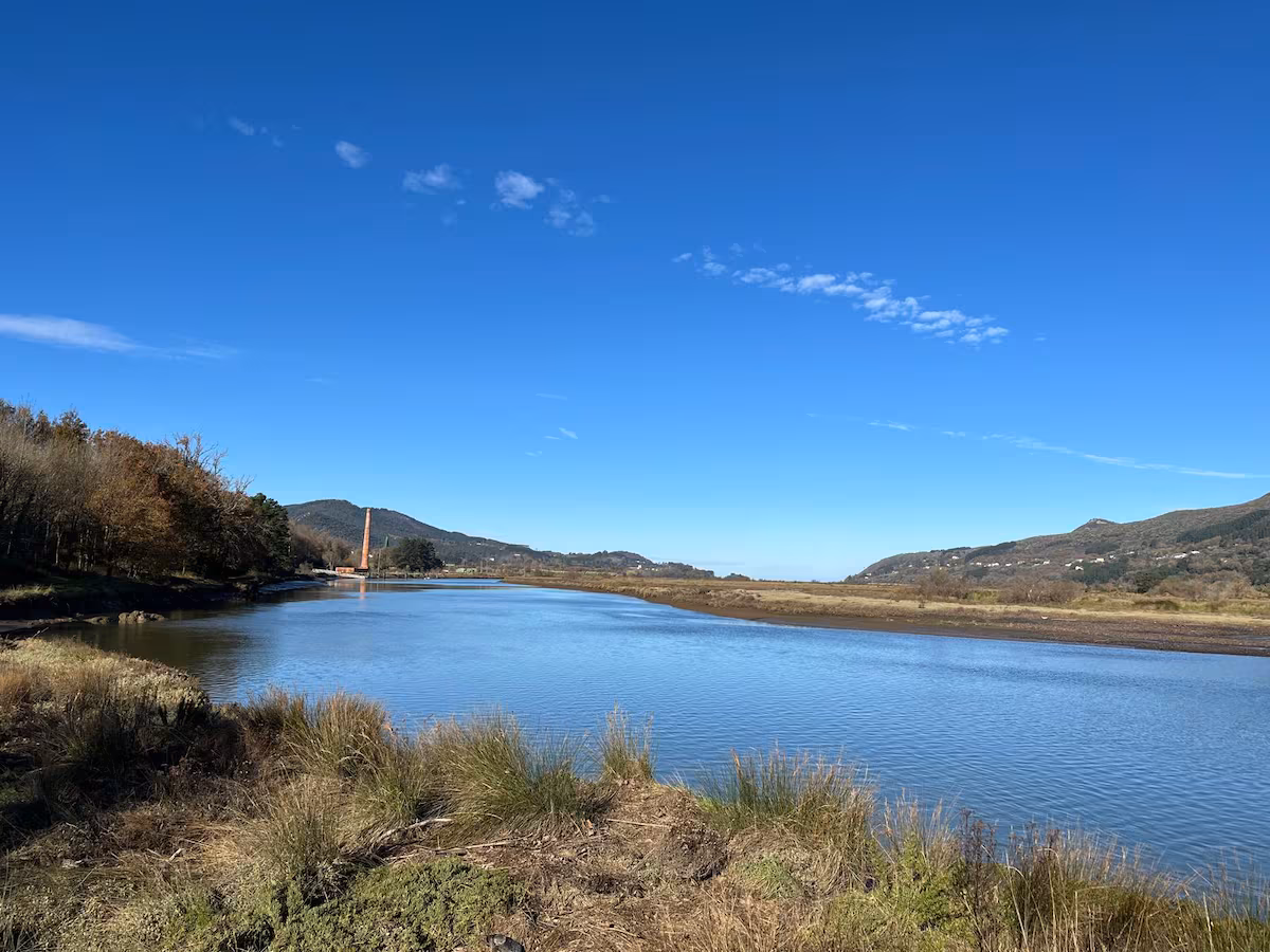 Las instituciones vascas deciden poner fin al Guggenheim en Urdaibai EL PAÍS