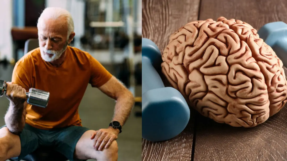 Los cinco ejercicios clave que actúan como 'pesas' para mantener el cerebro sano y ágil Los cinco ejercicios clave que actúan como 'pesas' para mantener el cerebro sano y ágil