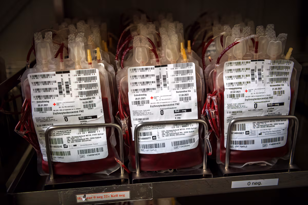 Los seis libros de la semana EL PAÍS