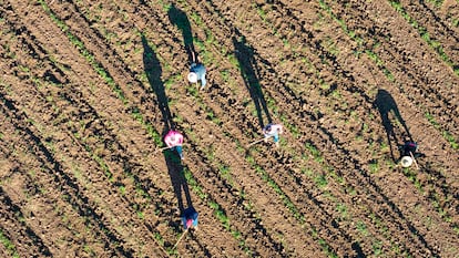 US pressures Mexico for violating the 1944 Water Treaty Calexico, California