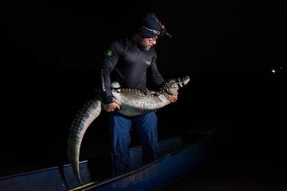 El año 2025, en imágenes El año 2025, en imágenes