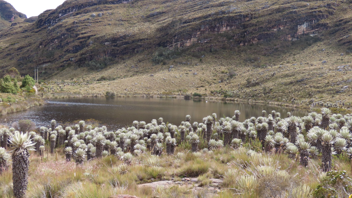 No todos los Parques Naturales de Colombia son para visitar: alertan por el impacto del turismo no regulado en áreas protegidas No todos los Parques Naturales de Colombia son para visitar: alertan por el impacto del turismo no regulado en áreas protegidas