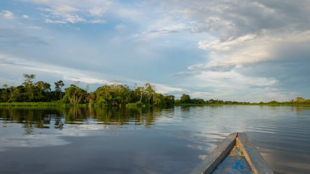 Presidente firma decretos que formalizan las primeras ocho Entidades Territoriales Indígenas en la Amazonia Presidente firma decretos que formalizan las primeras ocho Entidades Territoriales Indígenas en la Amazonia