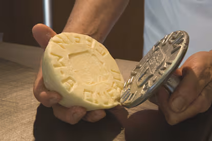 Un fascinante viaje al mundo del queso… sin salir de España Un fascinante viaje al mundo del queso… sin salir de España