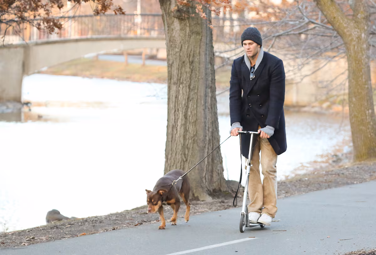 Quiero a mi perro de vuelta: el auge de la clonación de mascotas, un negocio entre “el amor eterno” y la “explotación inaceptable” EL PAÍS