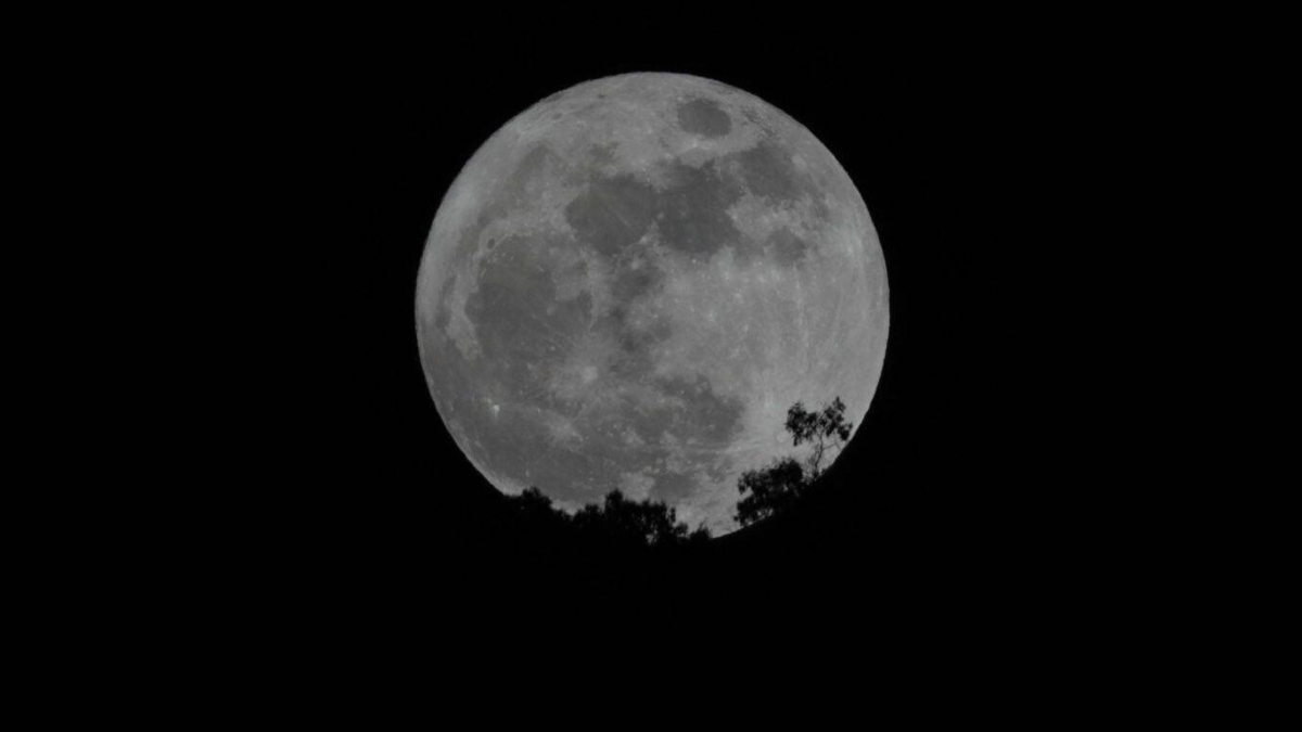 Ritual durante la Superluna Fría 2025 para atraer el amor en diciembre Ritual durante la Superluna Fría 2025 para atraer el amor en diciembre