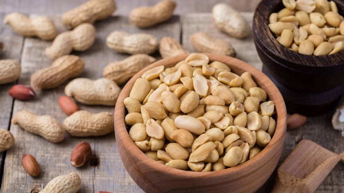 Terapia oral con dosis bajas de maní podría ampliar la protección en niños con alergia y reducir efectos adversos Terapia oral con dosis bajas de maní podría ampliar la protección en niños con alergia y reducir efectos adversos