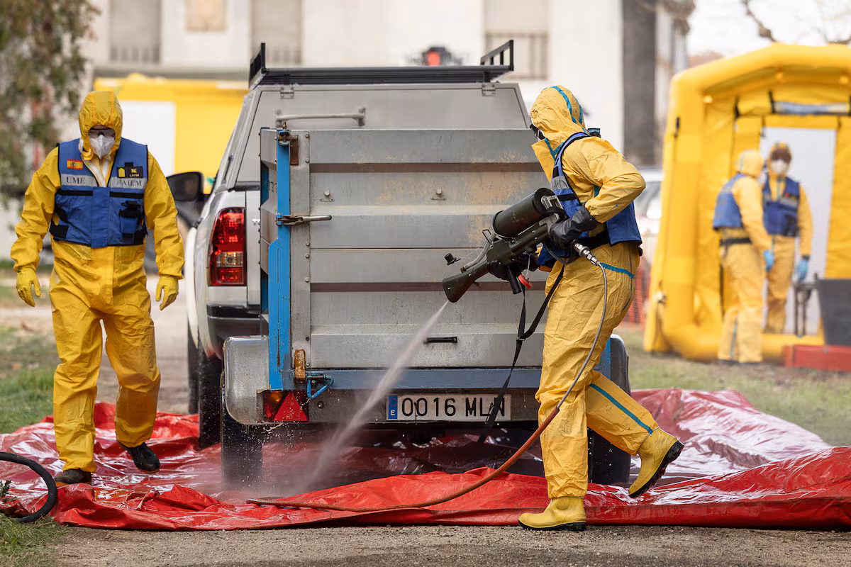 Transparencia y rapidez: cómo contener la peste porcina africana en el siglo XXI EL PAÍS