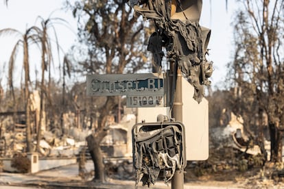El año 2025, en imágenes El año 2025, en imágenes