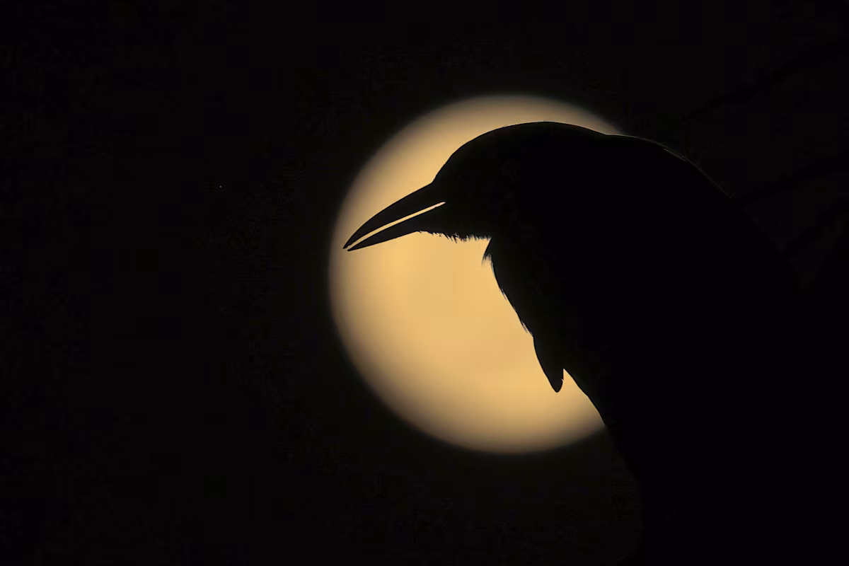 Últimas tardes del Imperio EL PAÍS