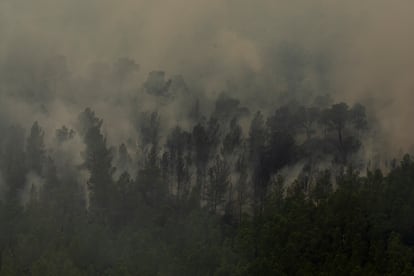 El año 2025, en imágenes El año 2025, en imágenes