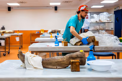 Así se mata una universidad Así se mata una universidad
