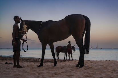 El año 2025, en imágenes El año 2025, en imágenes