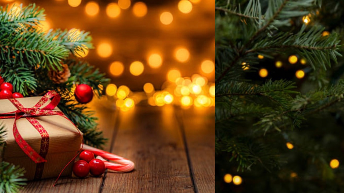 ¿Por qué algunas personas se niegan a armar el árbol de Navidad y no celebrar las festividades? Según la psicología ¿Por qué algunas personas se niegan a armar el árbol de Navidad y no celebrar las festividades? Según la psicología