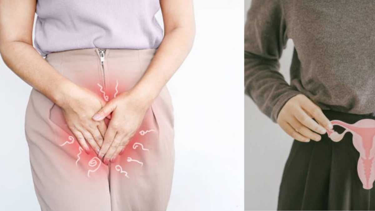 ¿Por qué comienza a doler la vagina entre los 40 y 50 años? ‘Es un problema hormonal que tiene remedio’ ¿Por qué comienza a doler la vagina entre los 40 y 50 años? ‘Es un problema hormonal que tiene remedio’