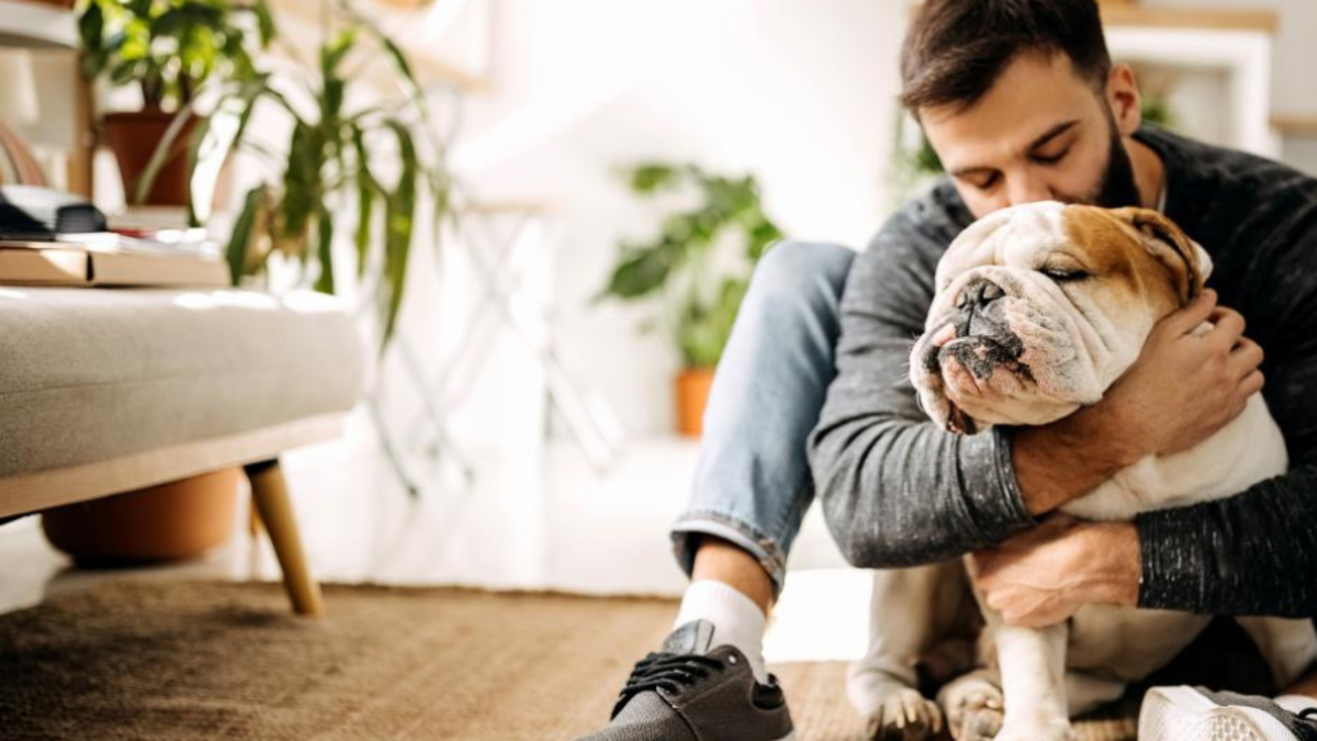 ¿Por qué dicen que los perros no deben dormir en el piso? Veterinaria revela los riesgos para las mascotas ¿Por qué dicen que los perros no deben dormir en el piso? Veterinaria revela los riesgos para las mascotas