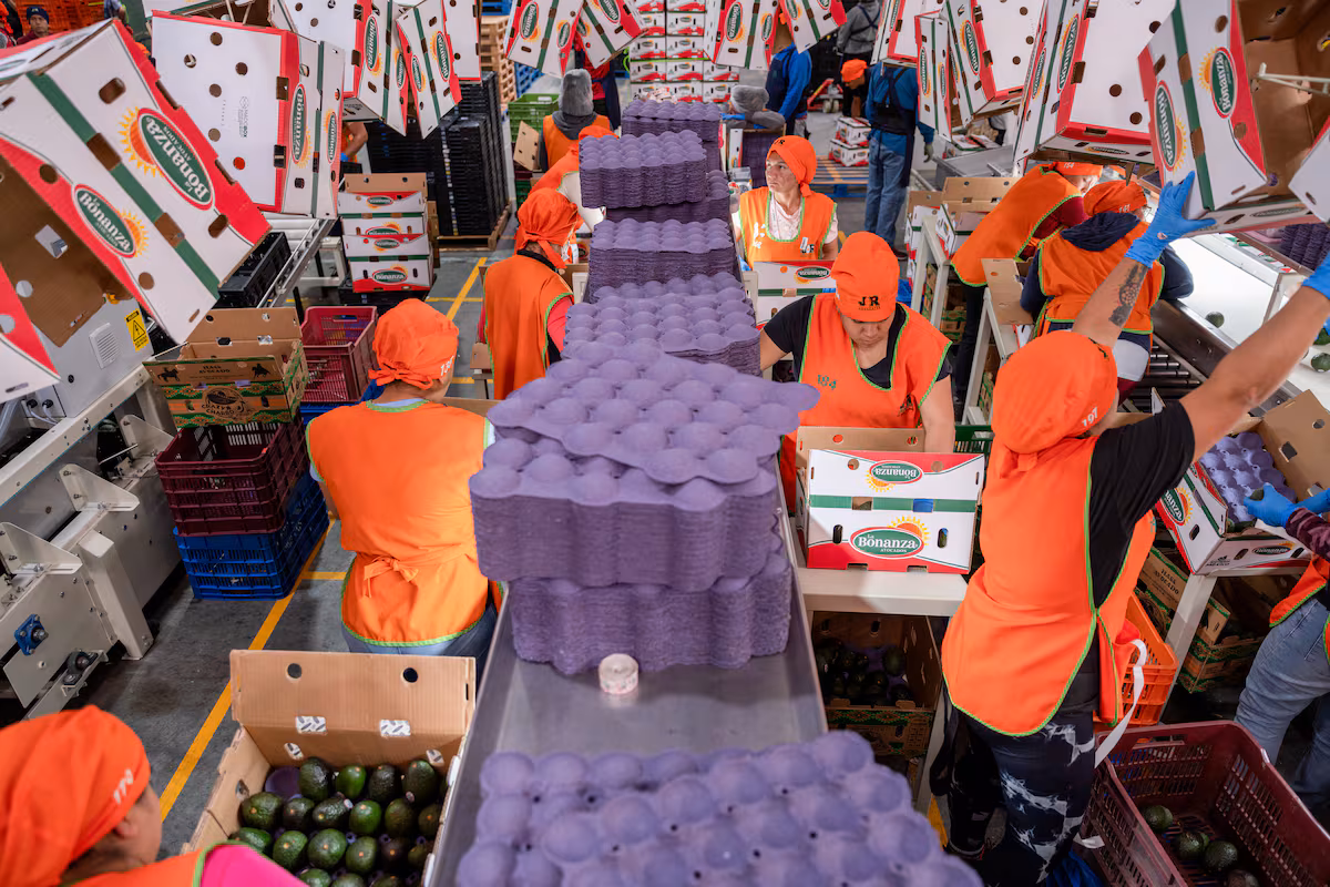 ¿Por qué no invierten los empresarios? EL PAÍS