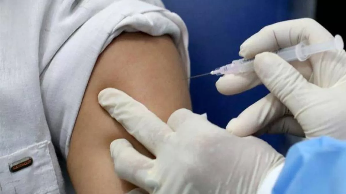 ¿Qué vacunas deben tener al día los adultos antes de viajar en fin de año? Expertos advierten sobre riesgos y recomendaciones ¿Qué vacunas deben tener al día los adultos antes de viajar en fin de año? Expertos advierten sobre riesgos y recomendaciones