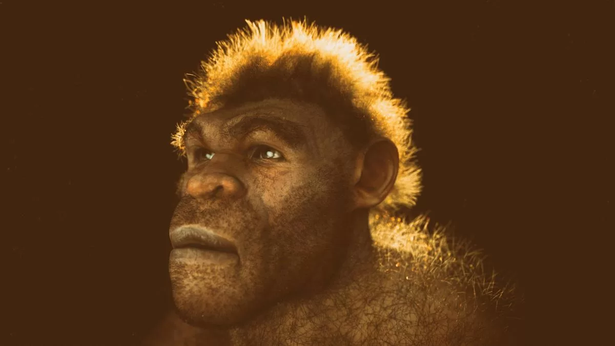¿Se cruzaron neandertales y humanos modernos en la península ibérica? Un modelo recrea las posibilidades de un encuentro ¿Se cruzaron neandertales y humanos modernos en la península ibérica? Un modelo recrea las posibilidades de un encuentro