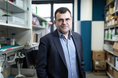El pastelero que patentó una molécula contra el cáncer que se ha vendido por 7.000 millones de euros El pastelero que patentó una molécula contra el cáncer que se ha vendido por 7.000 millones de euros