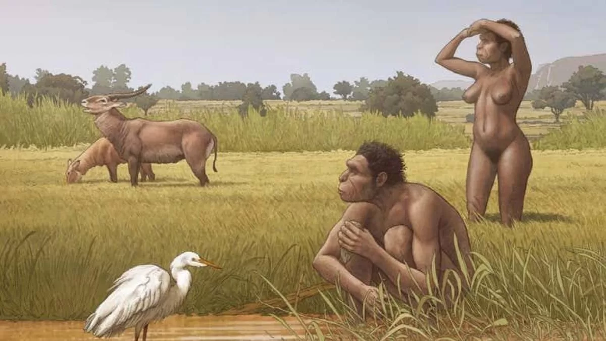 Descubren que el hominino más antiguo conocido ya caminaba erguido: esto dice la investigación Descubren que el hominino más antiguo conocido ya caminaba erguido: esto dice la investigación