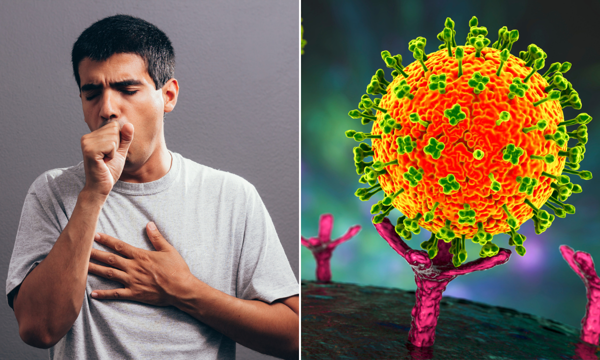 La OMS descarta restricciones de viaje a la India tras casos de Nipah y evalúa bajo el riesgo de propagación El virus ha presentado recientemente una alza de casos en la India.