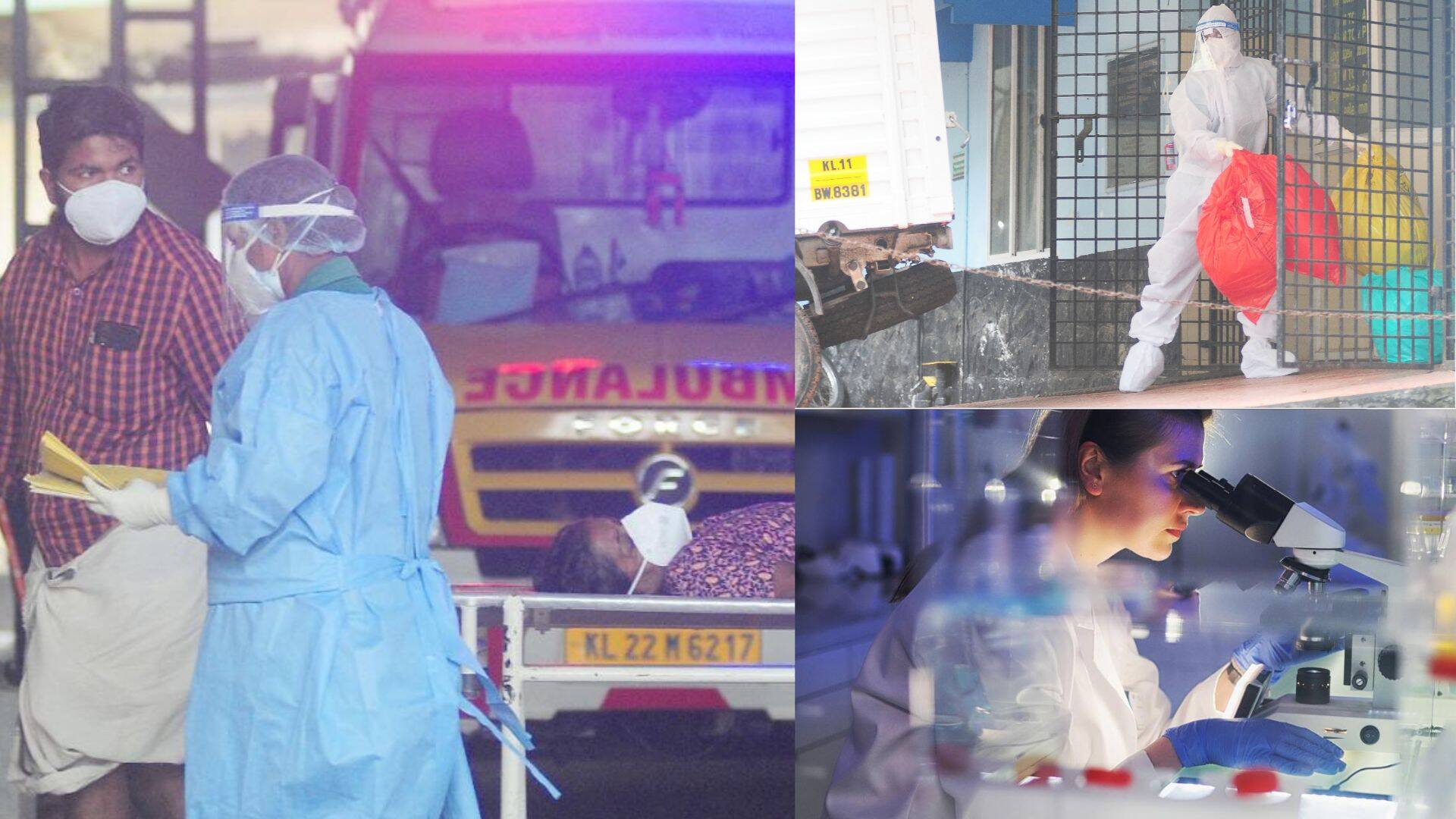 OMS define nivel de riesgo y vigilancia del virus Nipah: tasa de mortalidad es de hasta un 75 por ciento El virus Nipah encontrado en Kerala es similar a la cepa de Bangladesh.