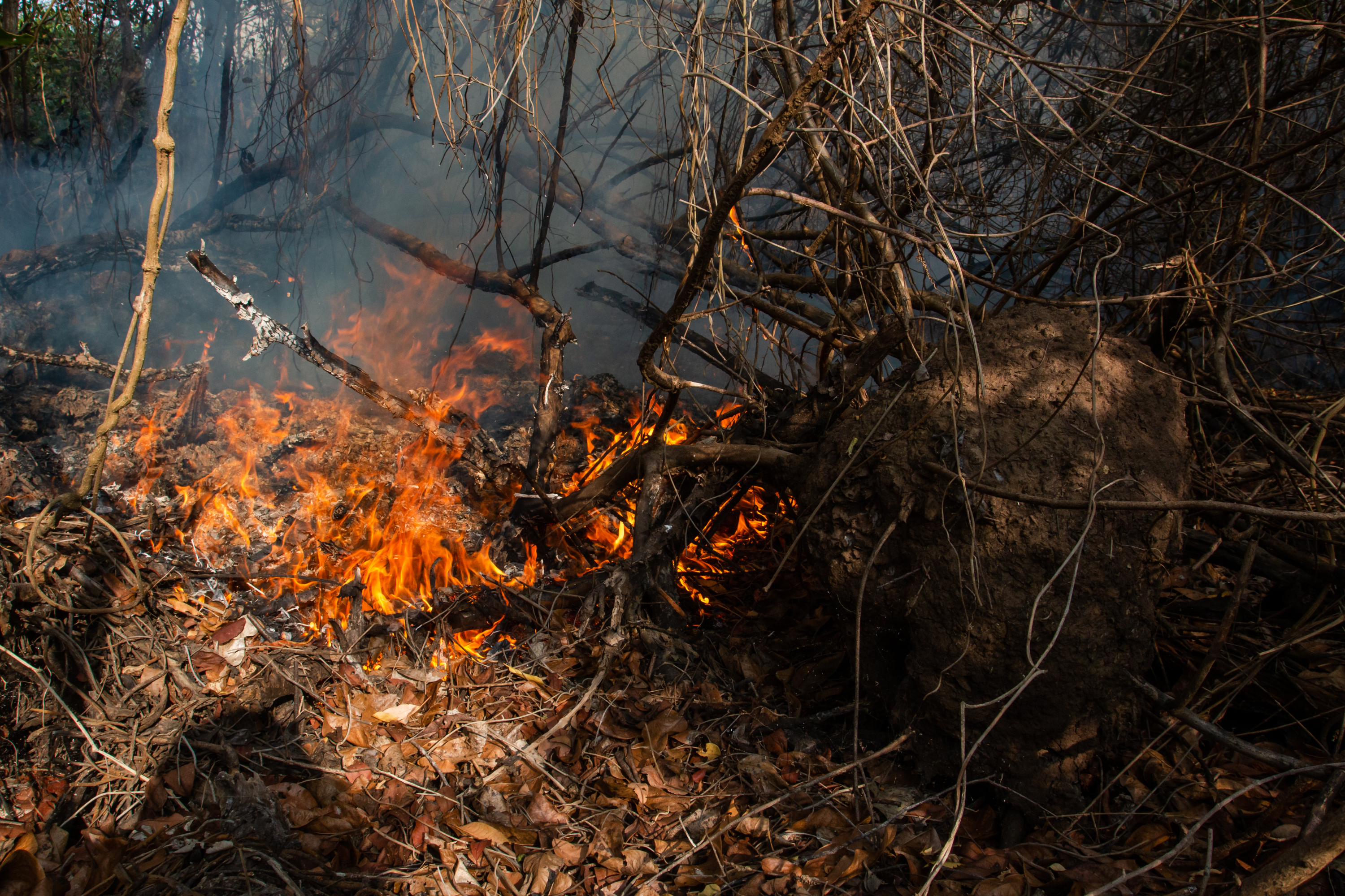 Muere joven mochilera en isla inhóspita y sospechan de habitantes salvajes El incendio tiene algunos focos activos.