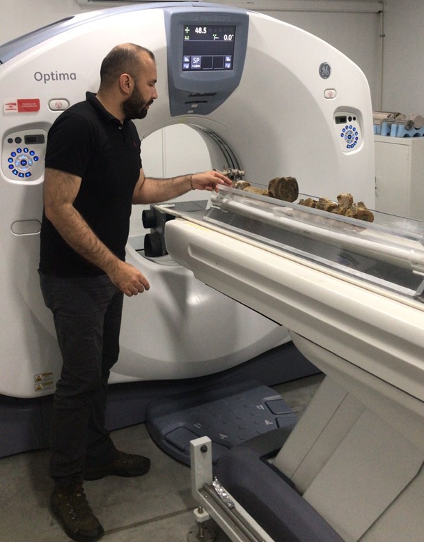 Descubren en China colosal dinosaurio de 28 metros de altura: así midieron su gran tamaño Hallan una vértebra fósil atribuida a un pliosáurido