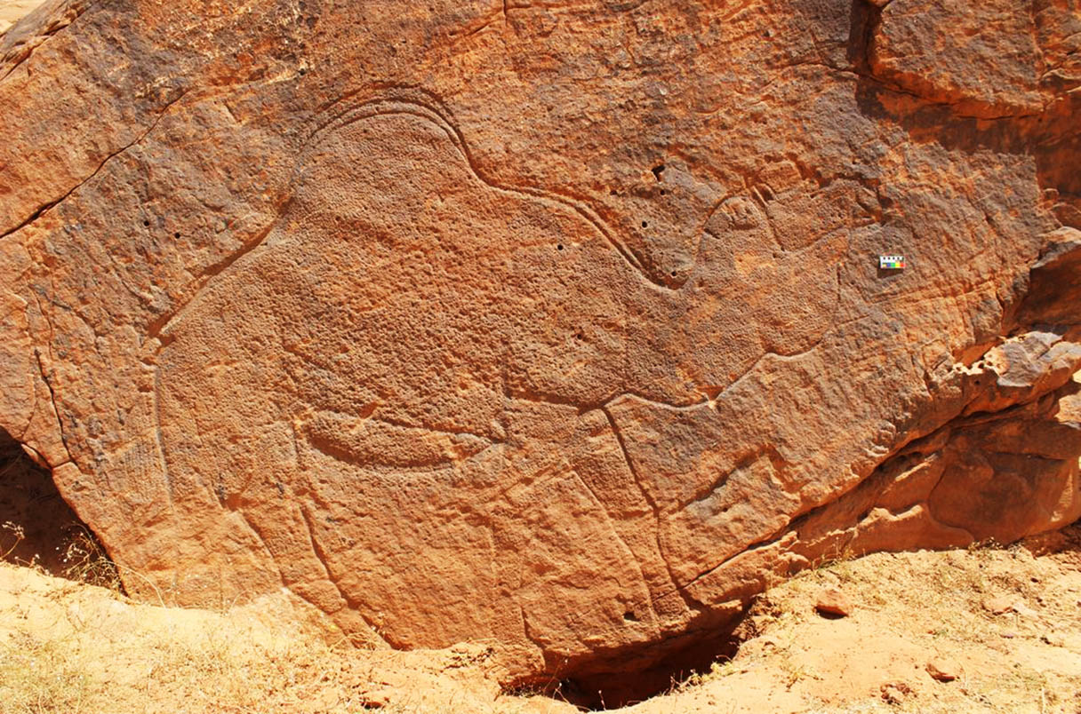 Uno de los desiertos más inhóspitos del mundo y al que nadie se atreve a ir fue tomado por China para crear un mar Grabados rupestres