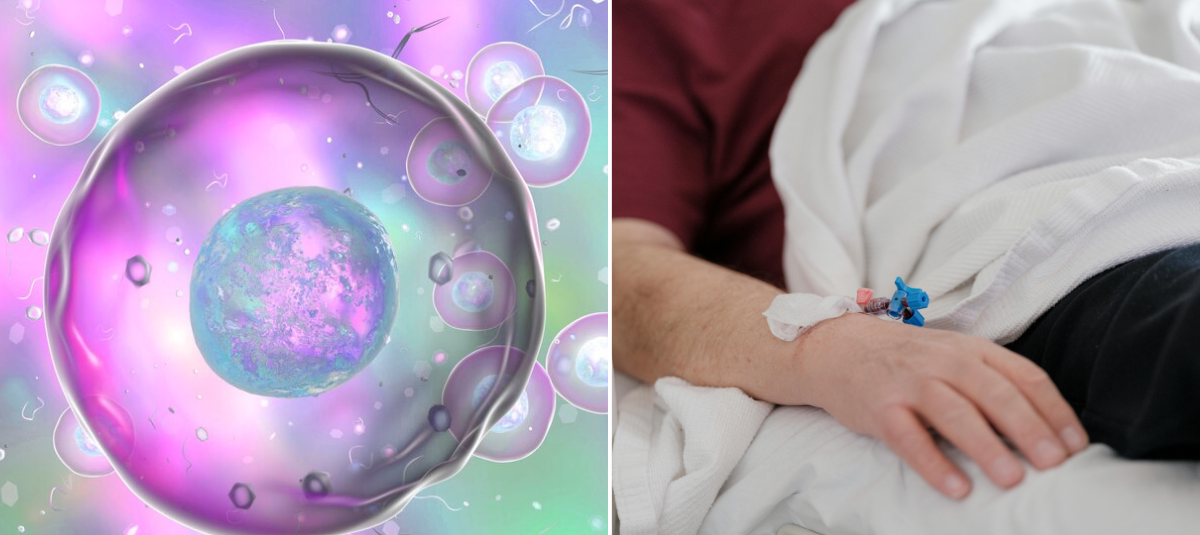 La grasa humana sorprende: científicos convierten tejido adiposo humano en organoides funcionales clave para la medicina regenerativa Consiguen eliminar el VIH de un paciente de leucemia con un trasplante de células madre: así fue como lo lograron