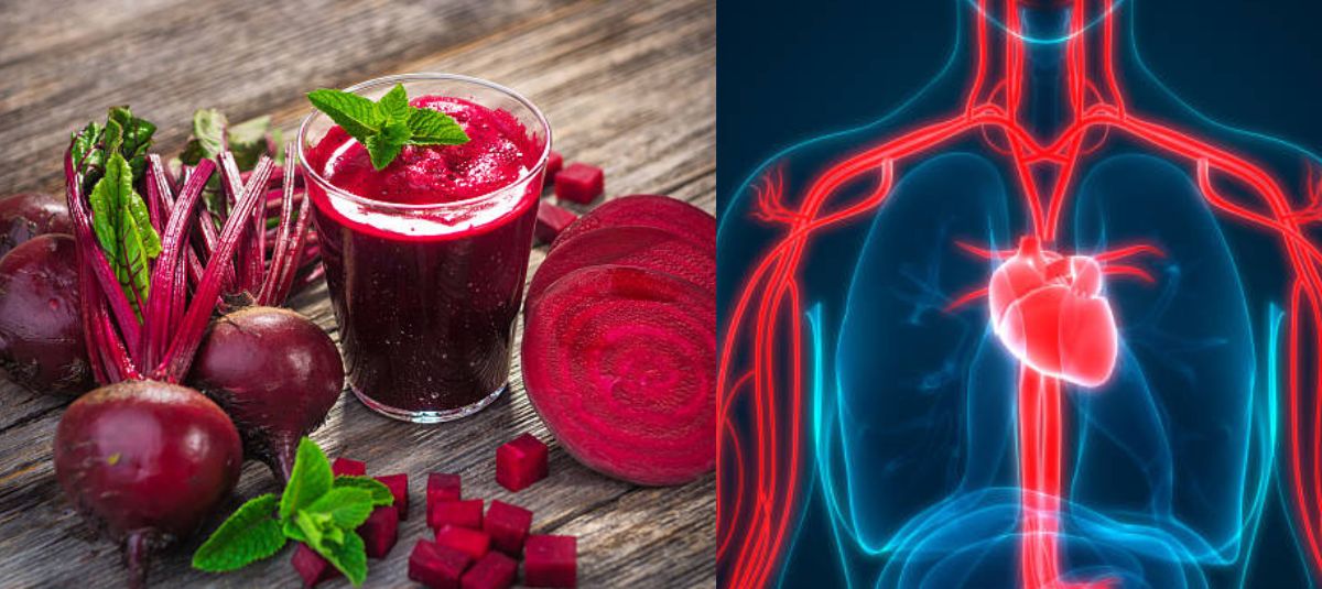 La vitamina que ayuda a regular el tracto intestinal y en qué alimentos se encuentra, según estudios remolacha