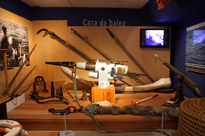 En busca de la historia ballenera en las costas cantábricas y atlánticas En busca de la historia ballenera en las costas cantábricas y atlánticas