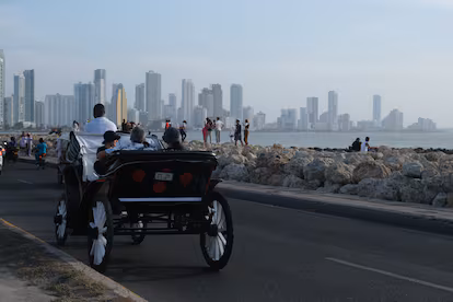 Cartagena de Indias is sinking: What can the city do to mitigate it? Cartagena, Colombia