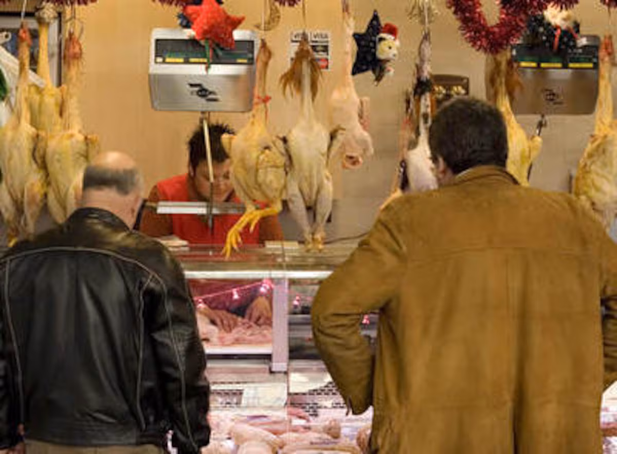 Arquitecturas blandas EL PAÍS