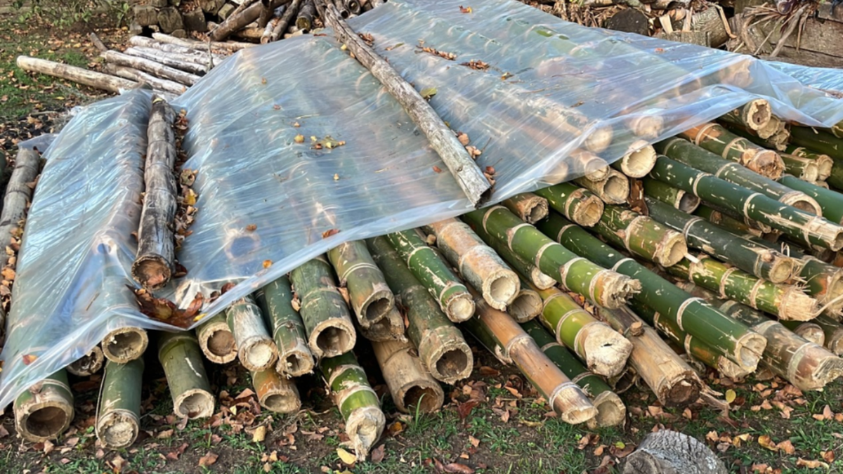 CAR detuvo transporte ilegal de guadúa en vía de Cundinamarca: a conductor se le inició proceso sancionatorio ambiental CAR detuvo transporte ilegal de guadúa en vía de Cundinamarca: a conductor se le inició proceso sancionatorio ambiental