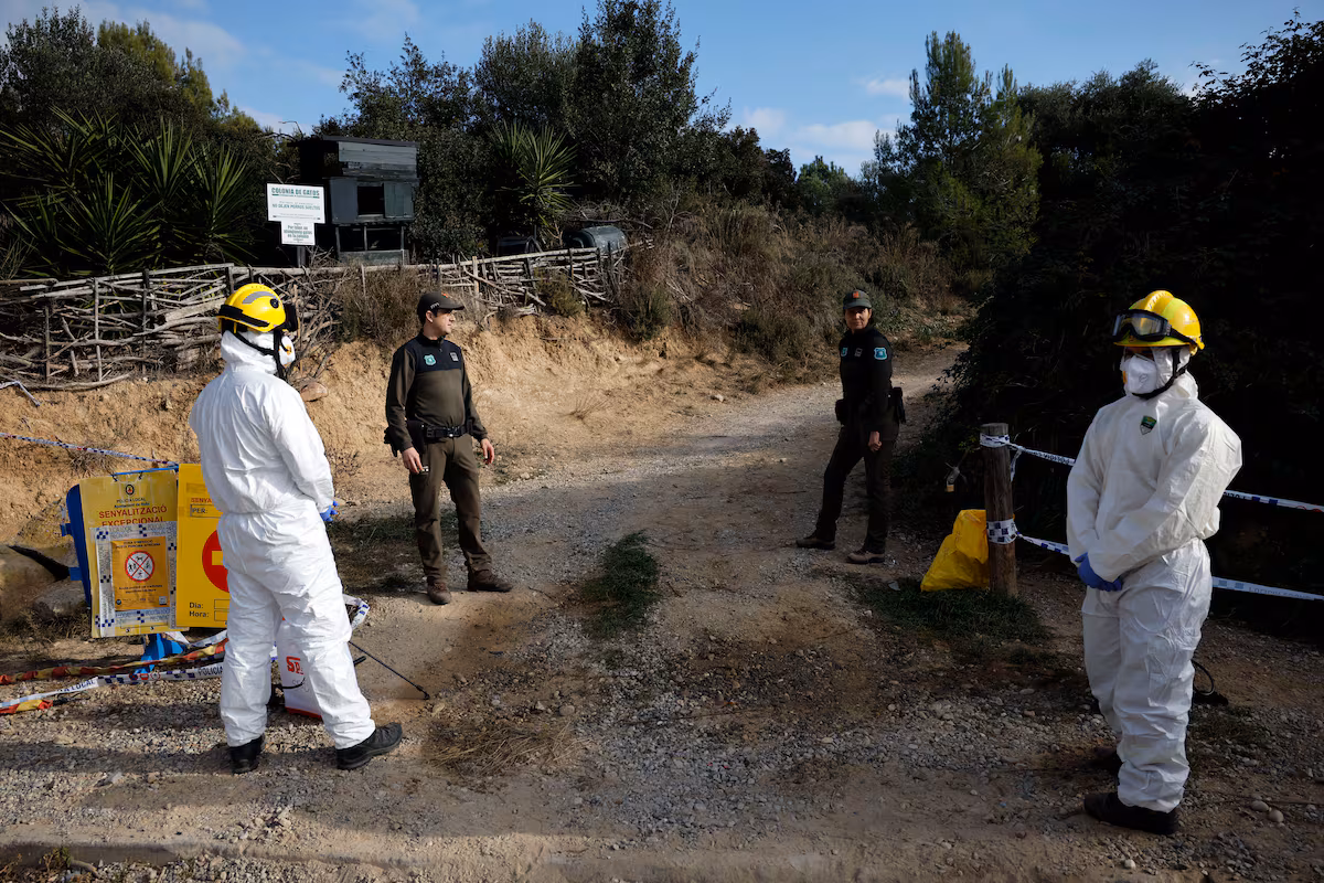 Cataluña confirma 21 nuevos positivos de peste porcina africana en jabalíes dentro del radio original de seis kilómetros EL PAÍS