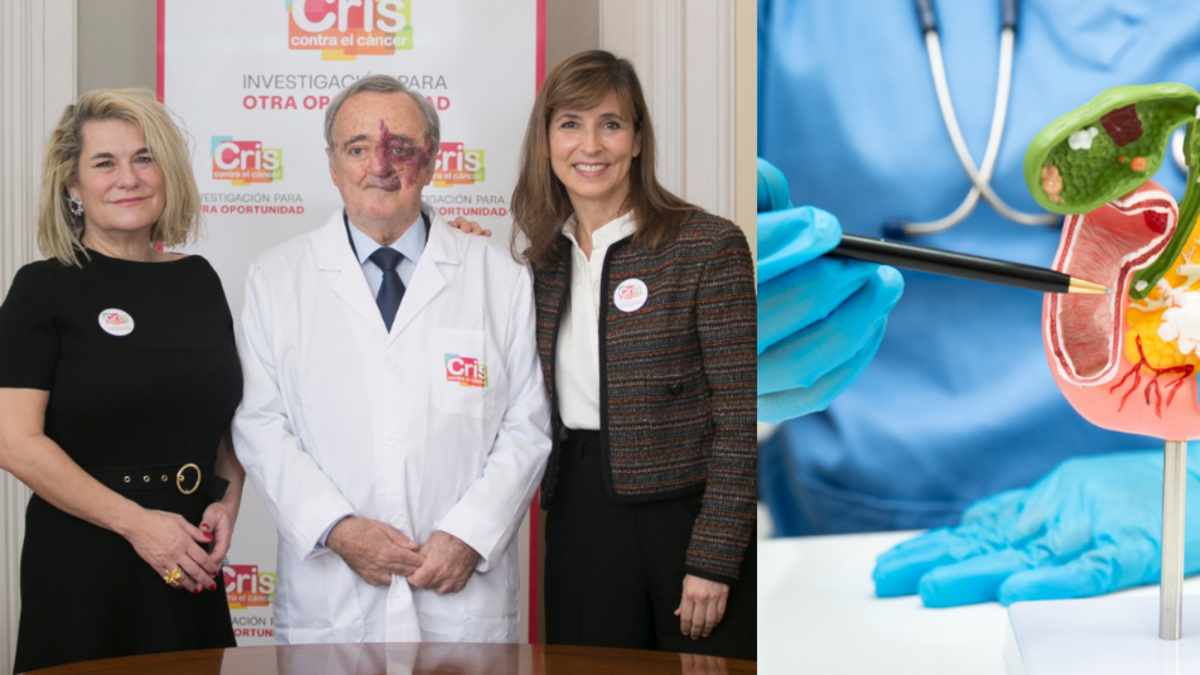 Científicos españoles logran eliminar el cáncer de páncreas combinando estos tres medicamentos Científicos españoles logran eliminar el cáncer de páncreas combinando estos tres medicamentos