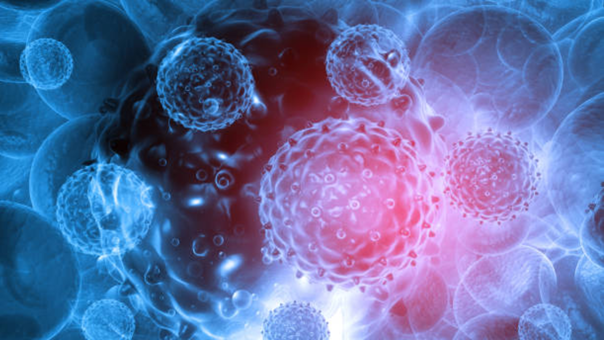 Descubren un virus gigante que podría ayudar a explicar cómo surgió la vida compleja en la Tierra Descubren un virus gigante que podría ayudar a explicar cómo surgió la vida compleja en la Tierra