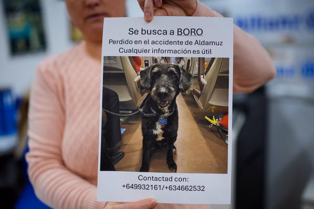 El Seprona localiza al perro ‘Boro’, perdido tras el accidente de Adamuz, pero el animal huye y sigue desaparecido EL PAÍS