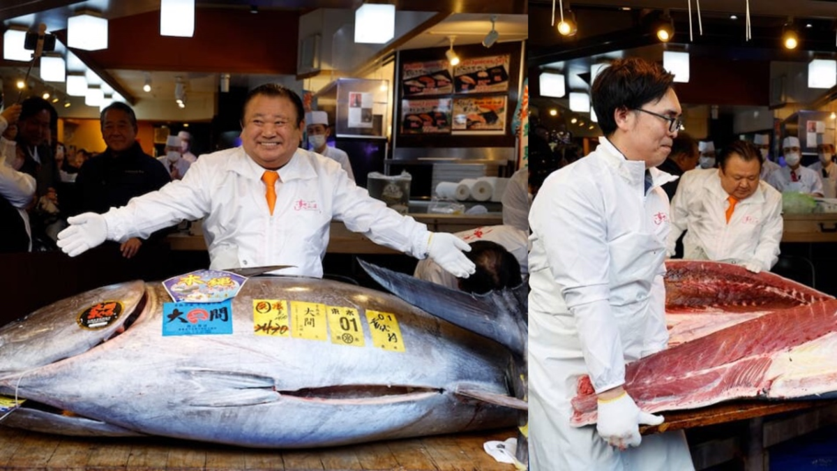 El atún de 247 kilos que el dueño de restaurante de sushi compró en $12.000 millones: una fortuna El atún de 247 kilos que el dueño de restaurante de sushi compró en $12.000 millones: una fortuna