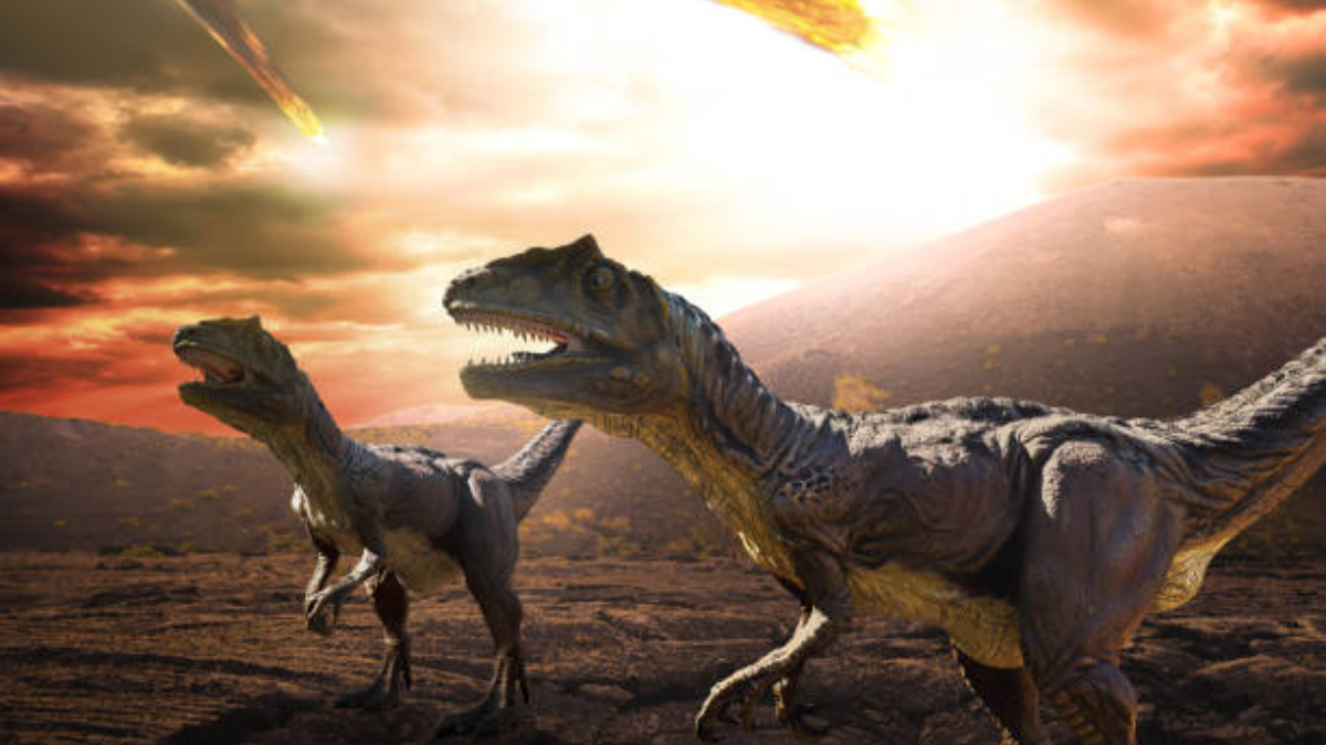 El descubrimiento de 2025 que cambió nuestra visión sobre los dinosaurios El descubrimiento de 2025 que cambió nuestra visión sobre los dinosaurios