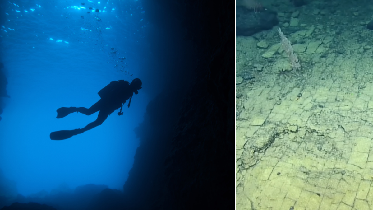 El hallazgo en el océano que desconcertó a los científicos: ‘Es el camino a la Atlántida’ El hallazgo en el océano que desconcertó a los científicos: ‘Es el camino a la Atlántida’